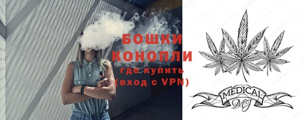 ПСИЛОЦИБИНОВЫЕ ГРИБЫ Остров