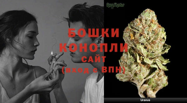 стафф Нягань