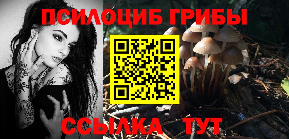 Березники  что такое наркотик  Вход с VPN  Галлюциногенные грибы Magic Shrooms 