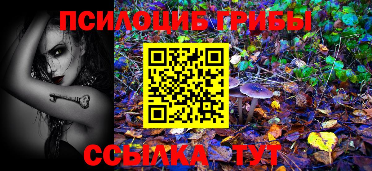 Псилоцибиновые грибы GOLDEN TEACHER Березники