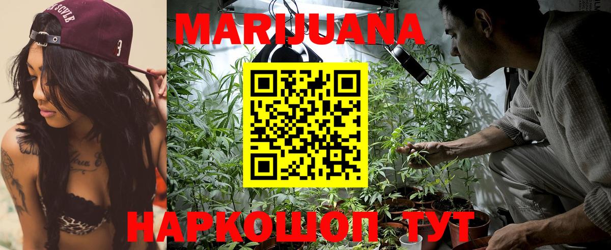 Бошки Шишки марихуана Березники